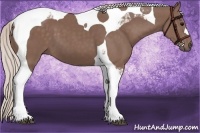 Horse Color:Chocolate Silver Black Tobiano 