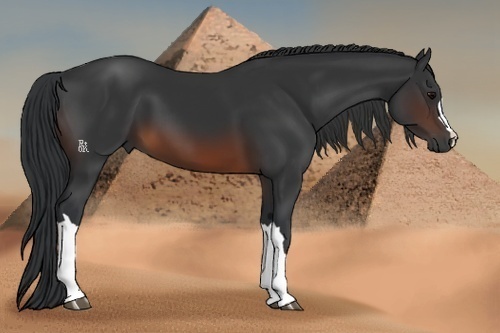 Horse Color:Brown 
