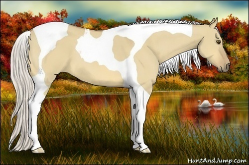 Horse Color:Silver Buckskin Dun Tobiano 