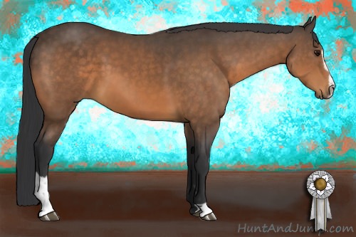 Horse Color:Buckskin Sabino 