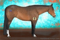 Horse Color:Buckskin Sabino