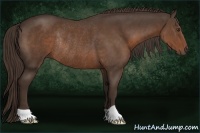 Horse Color:Liver Chestnut Rabicano