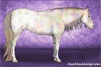 Horse Color:Nacre Chocolate Palomino Ice Pearl Onyx 