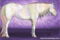 Horse Color:Nacre Cremello Ice Onyx 