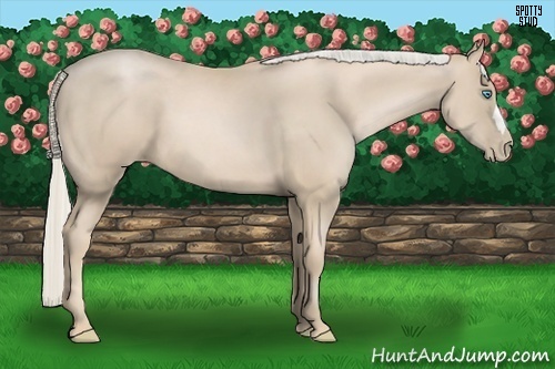 Horse Color:Palomino Pearl 