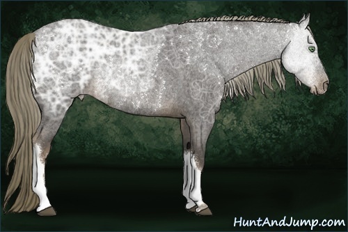 Horse Color:Liver Red Ice Roan Rabicano 