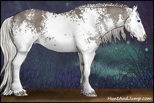 Horse Color:White Spotted Silver Black Splash Rabicano