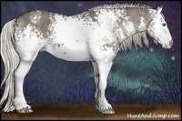 Horse Color:White Spotted Silver Black Splash Rabicano 