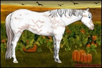 Horse Color:Bay Splash Tobiano Varnish