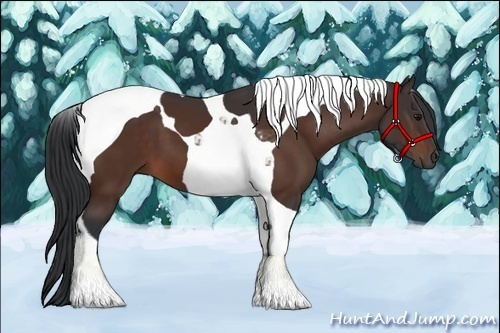 Horse Color:Bay Tobiano 