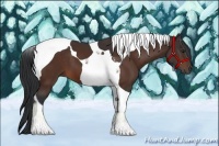 Horse Color:Bay Tobiano