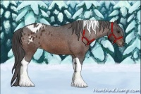 Horse Color:Brown Tobiano Blanket 