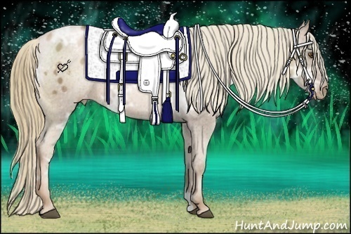 Horse Color:Liver Red Ice Roan Pearl Appaloosa Rabicano 