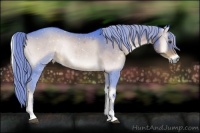 Horse Color:Watercolor Liver Red Onyx Sabino Rabicano