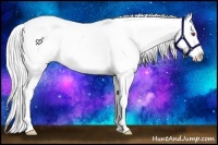 Horse Color:Silver Brown Chinchilla Splash Appaloosa 