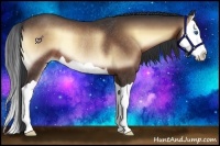 Horse Color:Bay Onyx Splash Rabicano