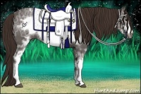 Horse Color:White Spotted Liver Chestnut Ice Frame 