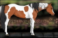 Horse Color:Bay Tobiano