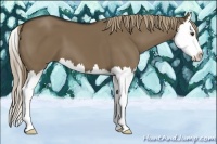Horse Color:Liver Red Dun Splash