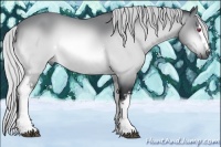 Horse Color:White Spotted Silver Bay Chinchilla 