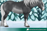 Horse Color:White Spotted Silver Brown Chinchilla 