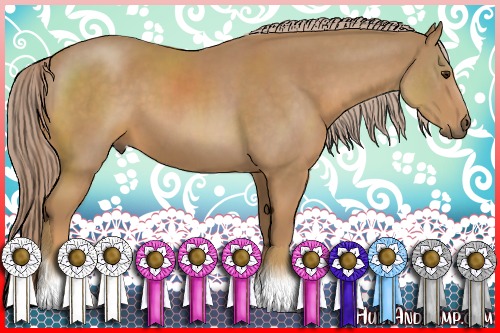 Horse Color:Palomino 