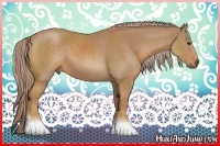 Horse Color:Palomino