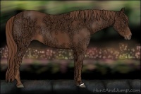Horse Color:Chestnut Ice 