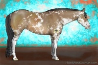 Horse Color:Bay Dun Sabino 