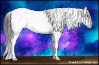 Horse Color:Bay Sabino 