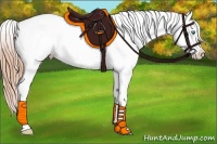 Horse Color:Smoky Blue Roan Pearl Appaloosa Rabicano 