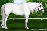 Horse Color:Liver Chestnut Mushroom Snowflake Varnish