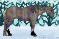 Horse Color:Nacre White Spotted Black