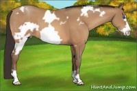 Horse Color:White Spotted Amber Champagne Frame 