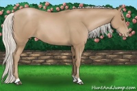 Horse Color:Silver Black Pearl