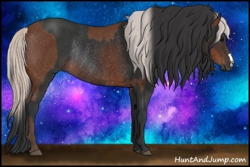 Horse Color:Silver Brown Rabicano  and Brown Rabicano 
