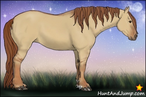 Horse Color:Red Dun