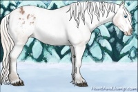 Horse Color:Silver Bay Roan Frame Appaloosa 