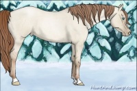 Horse Color:Smoky Grullo Roan Pearl 
