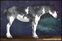 Horse Color:Smoky Black Chinchilla Splash 