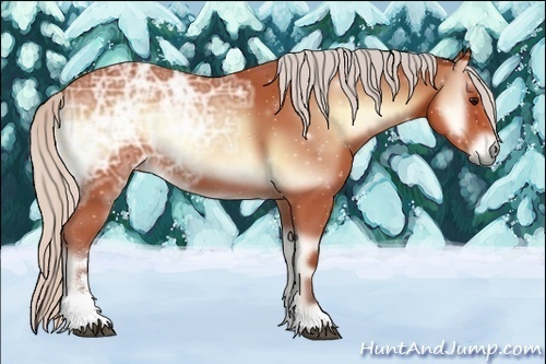Horse Color:Silver Bay Ice Onyx Sabino