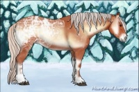 Horse Color:Silver Bay Ice Onyx Sabino 