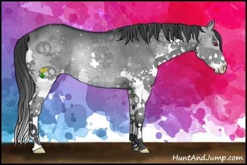 Horse Color:Black Chinchilla Splash Rabicano