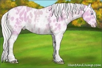 Horse Color:Watercolor White Spotted Cremello Ice Mushroom Varnish 