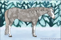 Horse Color:Silver Blue Ice Roan Splash Rabicano