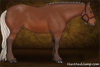 Horse Color:Silver Bay 