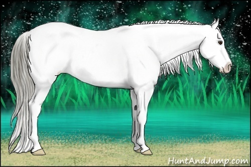 Horse Color:Liver Chestnut Mushroom Snowflake Varnish
