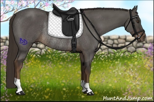 Horse Color:Liver Chestnut Rabicano 