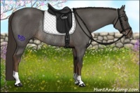 Horse Color:Liver Chestnut Rabicano
