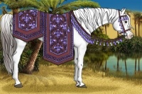Horse Color:Bay Sabino Splash Tobiano Appaloosa and Bay Roan Sabino Splash Appaloosa